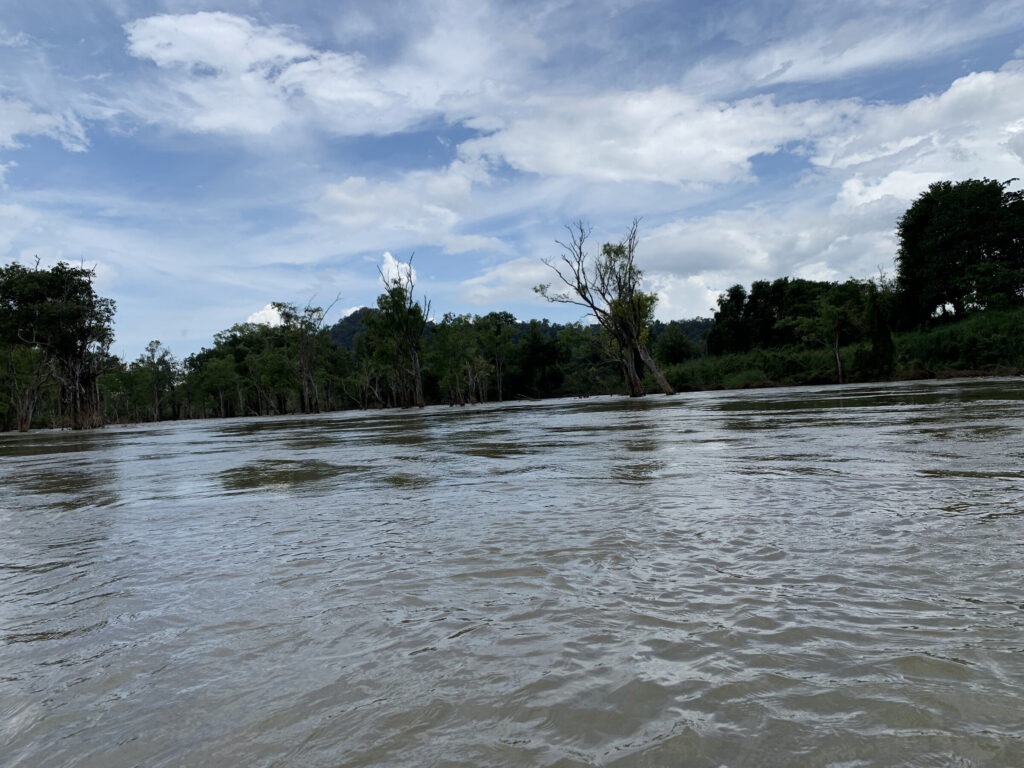By boat on the Mekong between the 4000 Islands
