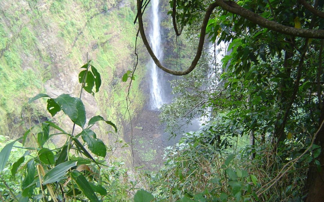 Tad Fane twin waterfalls dropping into a forested gorge on the Bolaven Plateau, Southern Laos