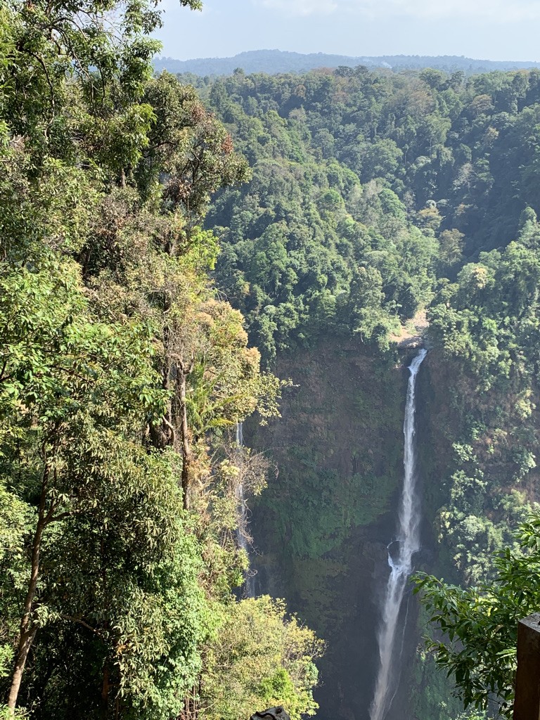 La cascade de Tad Fane plonge dans une gorge boisée du plateau des Bolovens, Sud du Laos
